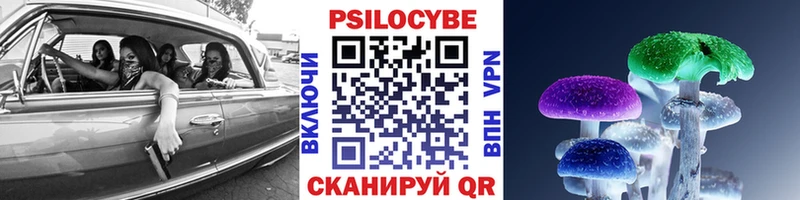 Галлюциногенные грибы Psilocybe  Купить закладки  Бирск 