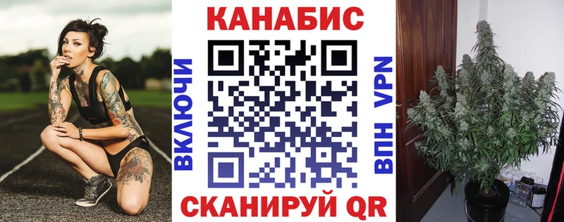Бошки марихуана гибрид  Купить закладки  Бирск 